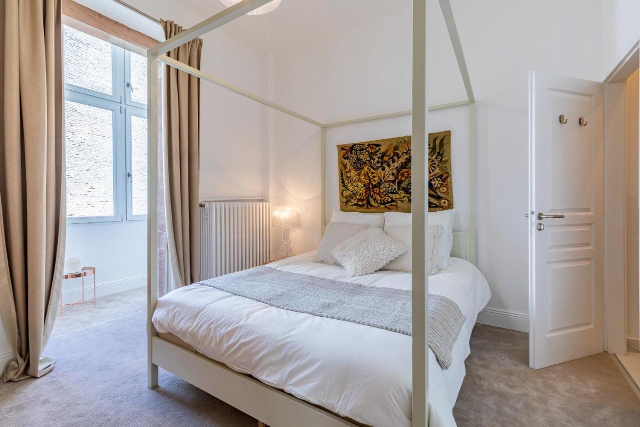 Luxueux Appartement Centre Ville Strazburg Dış mekan fotoğraf